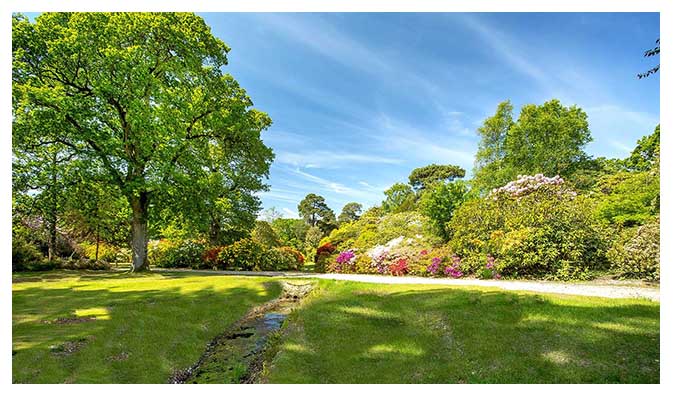 Exbury Gardens are situated in Hampshire, close to Southampton in the New Forest.