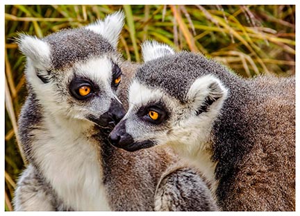 A selection of some of my favourite nature photographs taken over several years.... Click to view...
