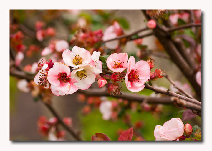 Loneliness - A lovely track by Blank & Jones.... Enjoy...