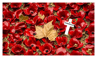 Here is my tribute to all who have lost their lives in conflicts for Queen & Country... We Will Remember Them...