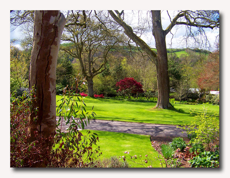 Rosemoor is a distinctive garden of contrasts that offers visitors a wealth of ideas to inspire and delight...