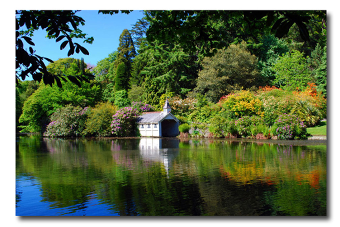 Stunningly beautiful, sub-tropical gardens in Cornwall....