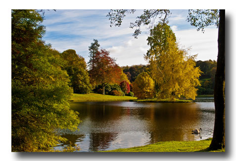 A collection of some of my favourite Photos taken in the UK...