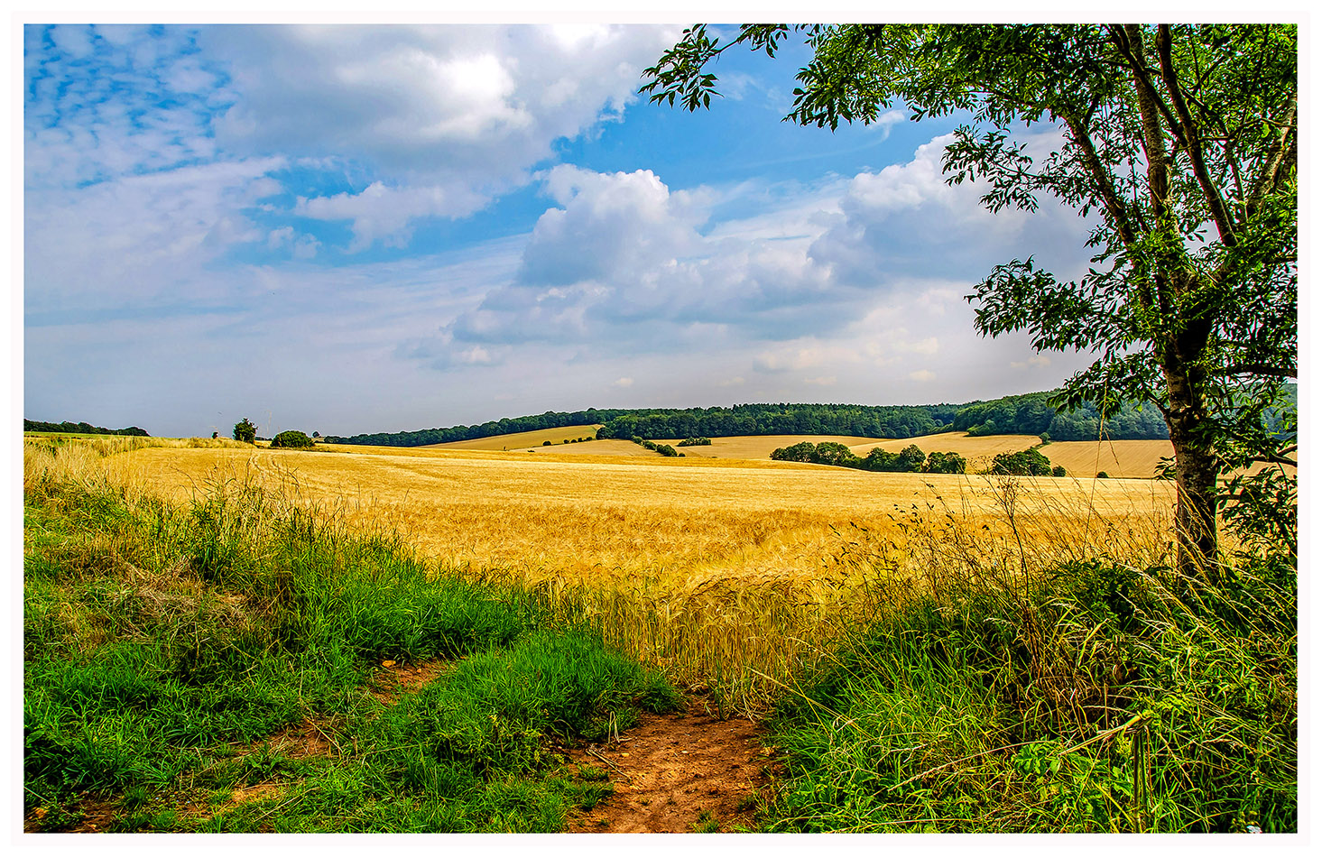 A collection of my photographs taken at various locations in the UK, I hope you like them... Click to View